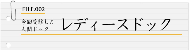 FILE002:今回受診した 人間ドック レディースドック