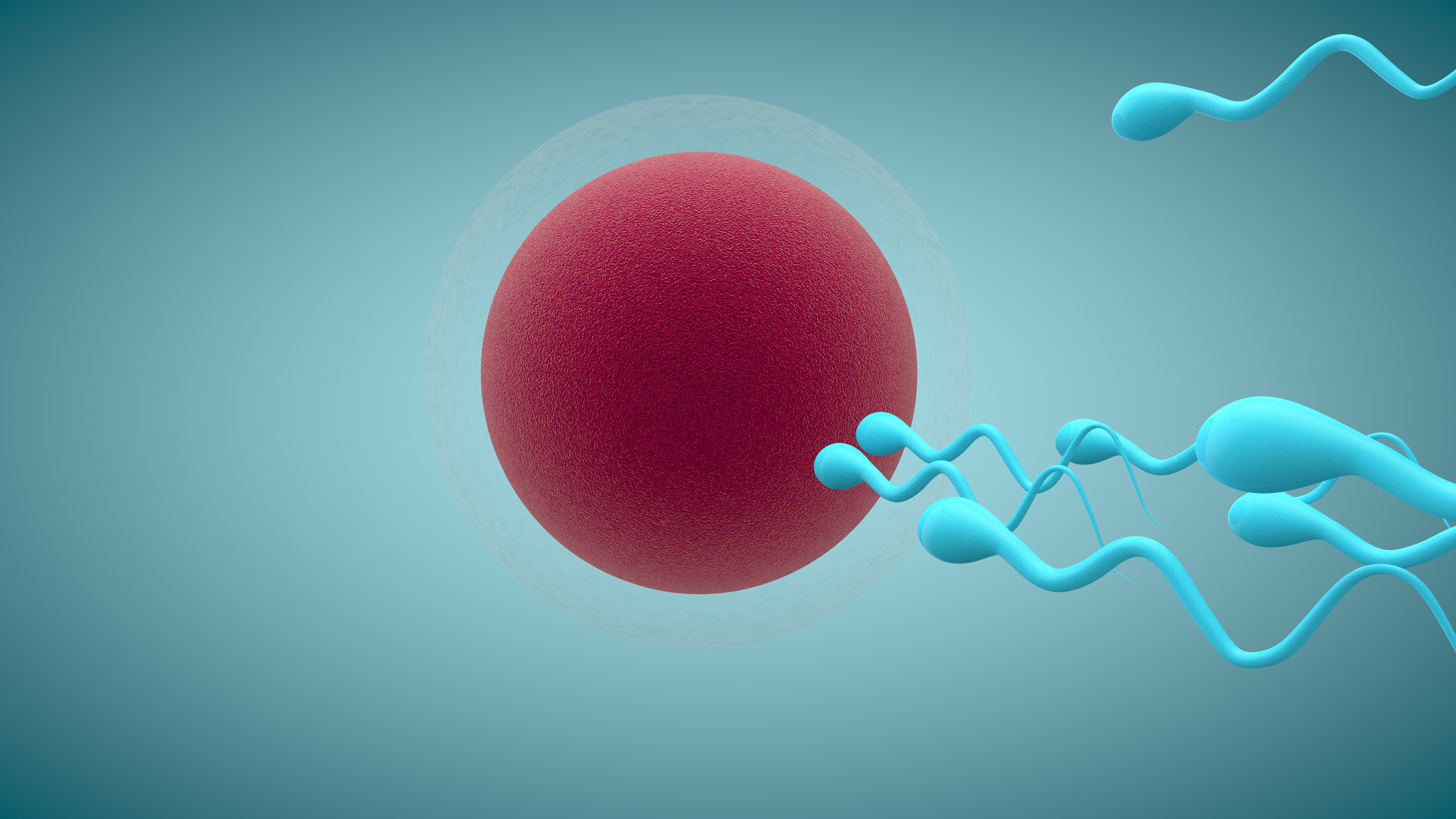 不妊治療に新時代到来!? モーター付きサイボーグ精子が卵子まで泳ぐ
